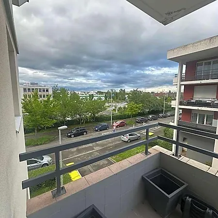 Διαμέρισμα Tres Beau Trois Pieces Avec Vue Degagee Στρασβούργο